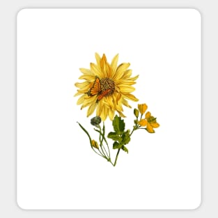 Beautiful Sunflower with butterfly - metamorphora Gift for nature lover Sticker